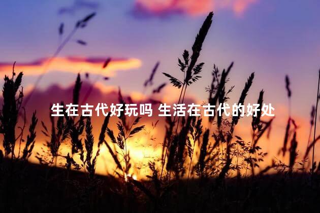 生在古代好玩吗 生活在古代的好处